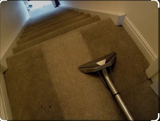 DAL’S CARPET CLEANING62864742448769122