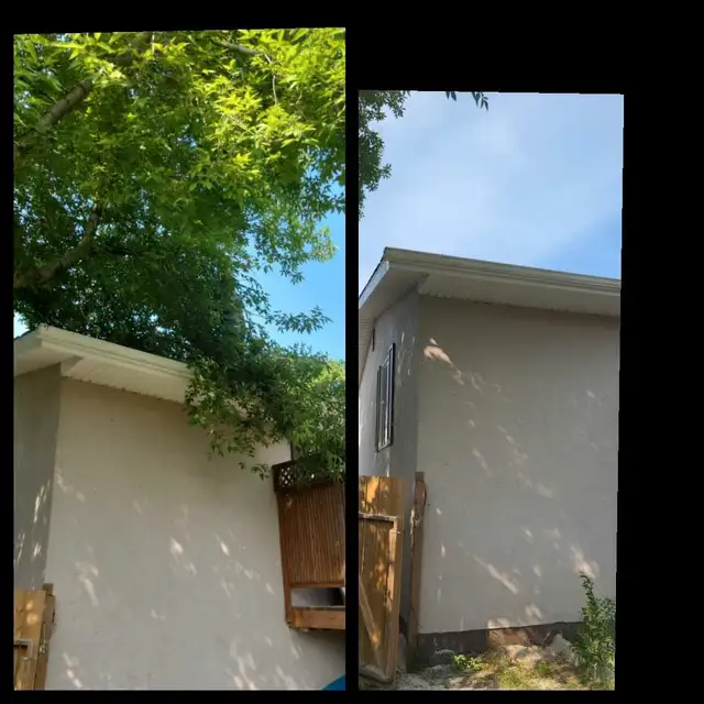 Roofing / Repair, Eaves cleaning Tree service 431-276-055163654774372481124