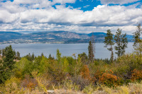5 Acre lot in Upper Mission w/ lake views