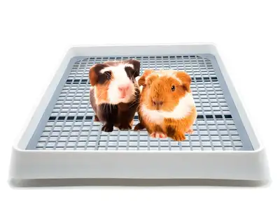 Brand new Large Litter box, Trainer with Grate for Rabbit/Hamster/Ferret/Rats/Guinea Pigs/Hedgehog/C...