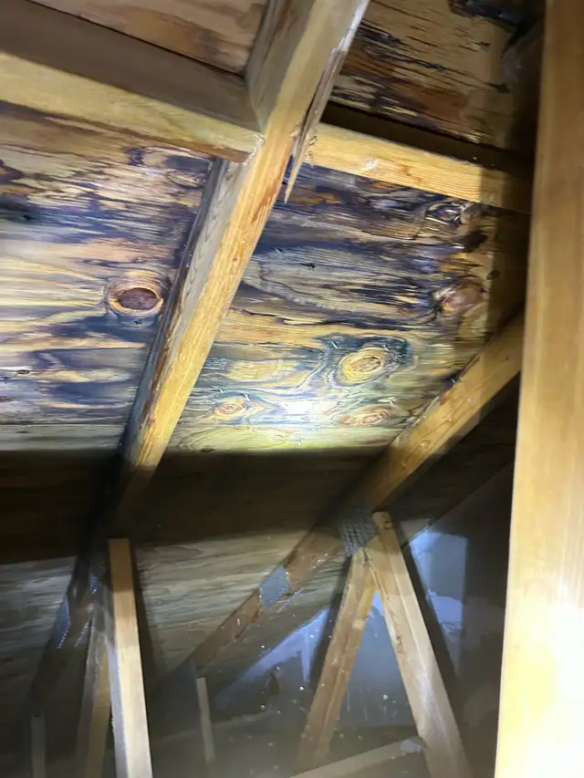 roof repair 406210103739699202