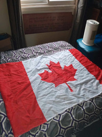 canada/usa flags