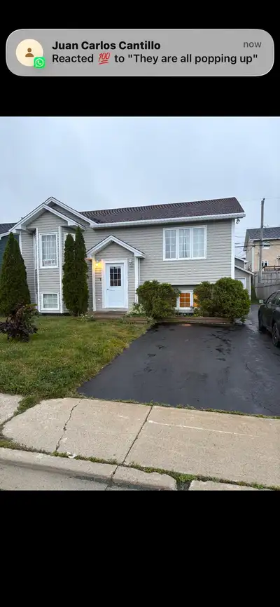 2 bdrm apartment recently renovated with stainless steel appliances. Washer / dryer 2-3 car driveway...
