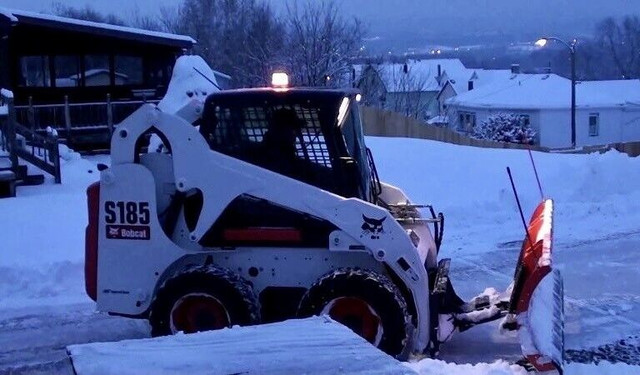 DCD Bobcat/Landscaping/Snow Services in Snow Removal & Property Maintenance in Winnipeg - Image 2