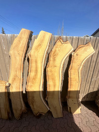 Live edge elm wood slabs