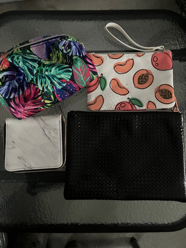 Mini Zipper Purses / Makeup Pouches in Health & Special Needs in St. Albert