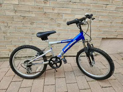 20" Supercycle Impulse-FS Youth Mountain Bike, Silver/Blue, View more