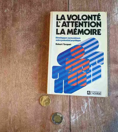 Ce livre est correct pour le rapport qualité prix. Format livre couverture souple. Edition : Les Édi...