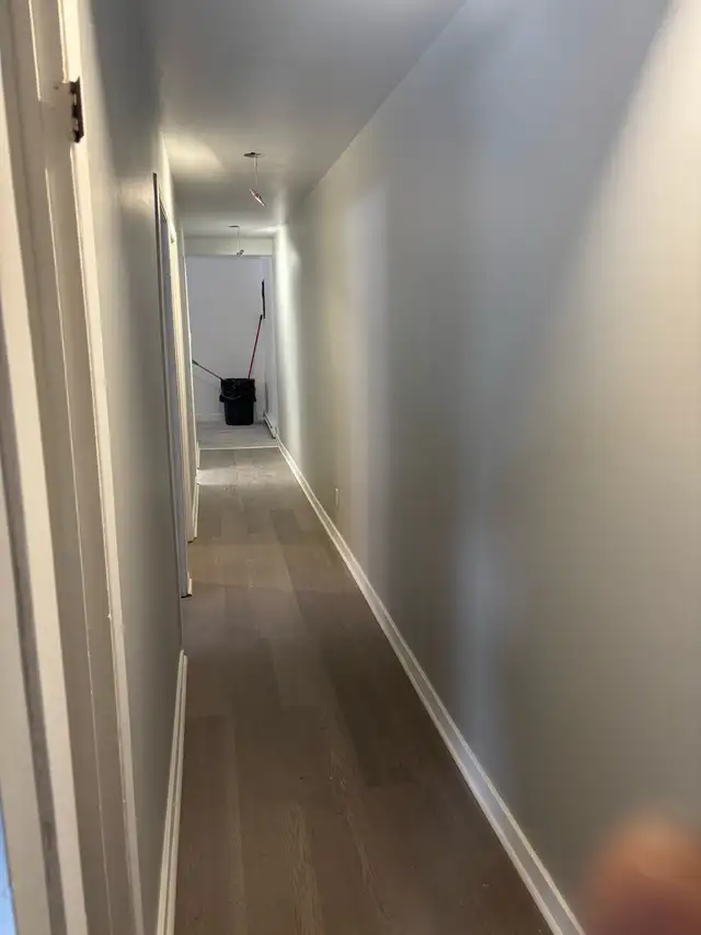 Grand 4 1/2 rénover  Blvd Lacordaire