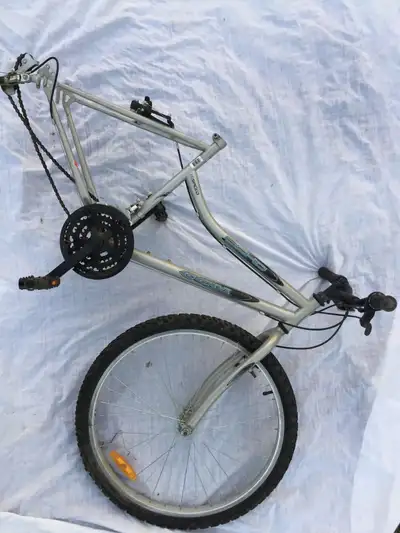 NICE CCM echo ladies bike bicycle needs wheel & seat, View more