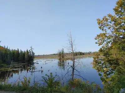 Shared kitchen living room ect. I work afternoons so not here after 2pm until sometimes 4 am when it...
