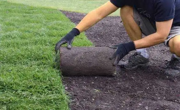 sod installation helper available 