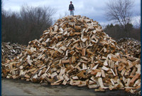 Firewood  ready to go