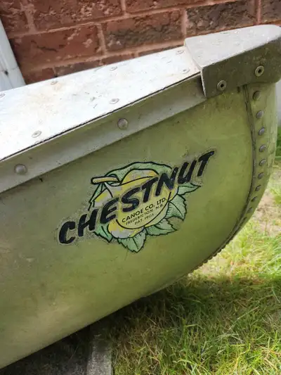 I will post pictures shortly . 17' aluminum canoe , no paddles and has multiple dents . 500obo