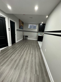 2 room basement 