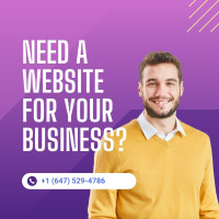 Looking for a Professional Website Developer?