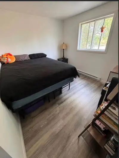 une grande chambre disponible dans un grand immeuble très tranquille. Pour filles seulement. Emplace...