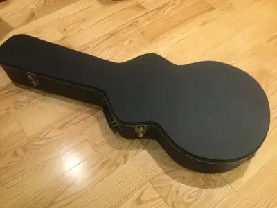 Guitar case for thin body, View more