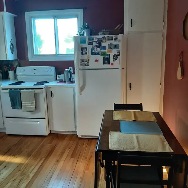 Comfortable large room for rent to single person  Nov 1st in Room Rentals & Roommates in Kingston - Image 4