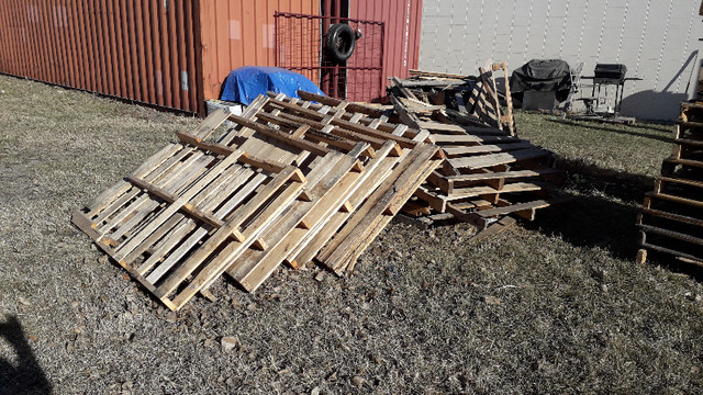 Free - Pallets / skids / wood / firewood / scrap lumber in Free Stuff in Edmonton - Image 2