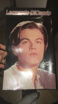 Poster Of Leonardo DiCaprio
