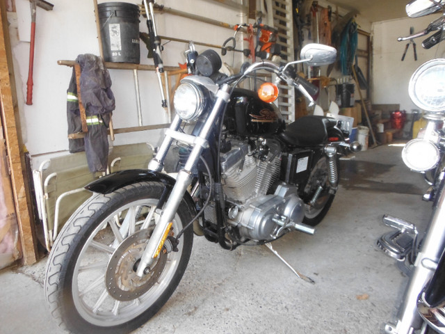 Harley's 4 sale in Street, Cruisers & Choppers in Quesnel - Image 2