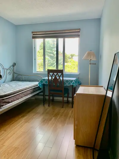 Apartment-like Bight Room near Seneca College for September