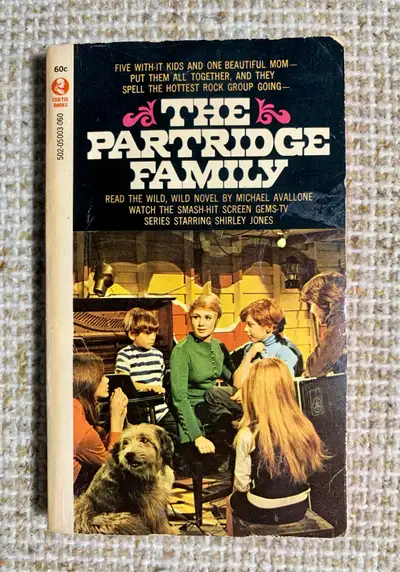 The Partridge Family (pocketbooks), View more