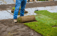 Sod installation / patio / mulch / free quoting / 