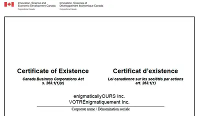 Are you a Canadian artist with a background in science, technology, engineering, and mathematics (ST...
