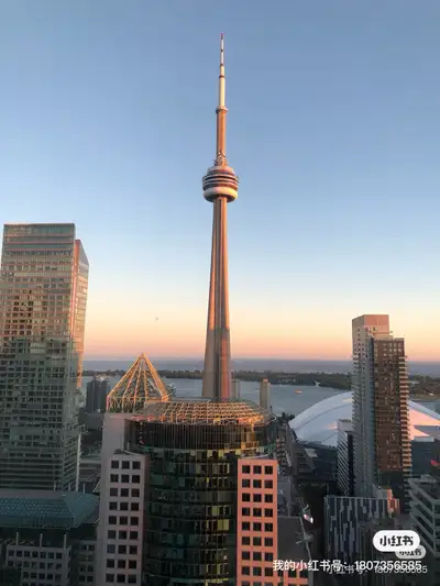 Luxury Master Bedroom for Rent – Downtown Toronto Core | CN Tower & Lake View | High Floor | Male On...