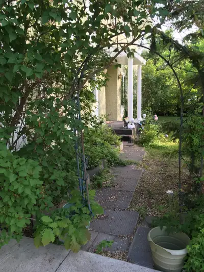Across the street from the University of Manitoba, 3000 sq. ft. beautiful home has 1 vacancy for ROO...