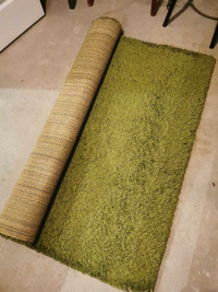 Green rug