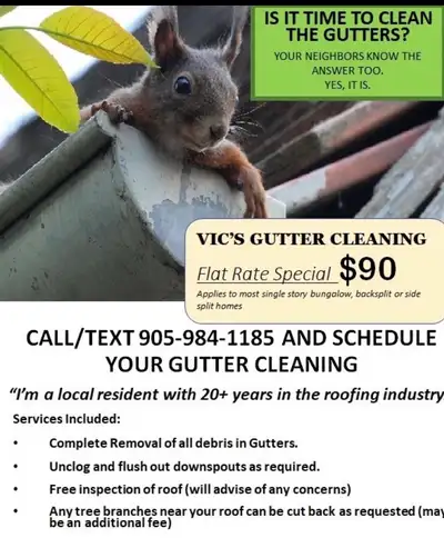 Gutter / Eavestrough Cleaning, View more