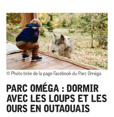Parc Oméga wolf cottage (with wolves) , View more