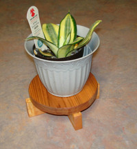 round top plant stand for 5 inch pot - plant not included