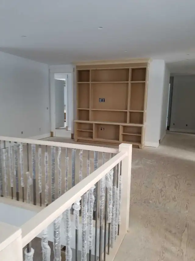 Professional Painter For Professional results561999893539082243