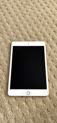 iPad mini 5th generation 