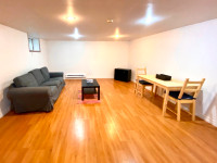 Furnished 1 Bedroom Basement Apartment in Richmond Hill+Parking
