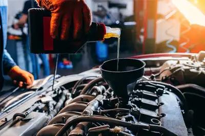 Can change engine oil on your place, maybe small repair or check car‍ Price is parts + my work, depe...