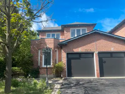 Beautiful big and bright Walk Up basement apartment with one big bedroom and very big living room ki...