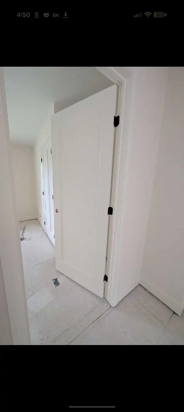 PROFESSIONAL OTTAWA PAINTER! 613-262-3721577405994235351042