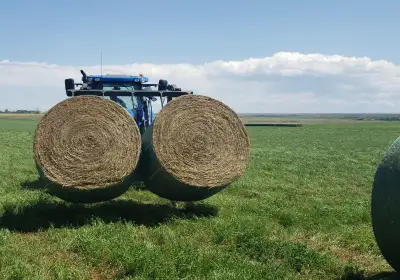 Livestock Feeding Program - Bale hauling of all discription, View more