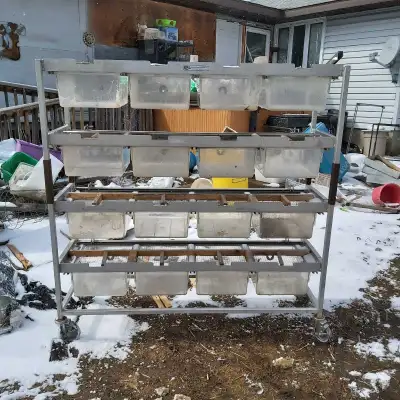 Mouse Rack, View more