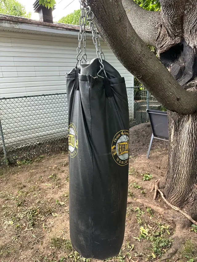 Everlast Boxing Bag