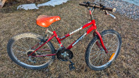 SUPERCYCLE 1800 Youth Rigid Mountain Bike (20" rims, 14" frame))