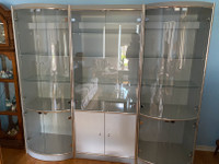 Wall Unit/Display Cabinet - $300