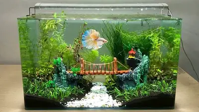 ⛲ ENTRETIEN CLEANING DÉCOR RÉPARATION AQUARIUM, View more