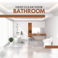 Detail Cleaning Washroms & Appliances 