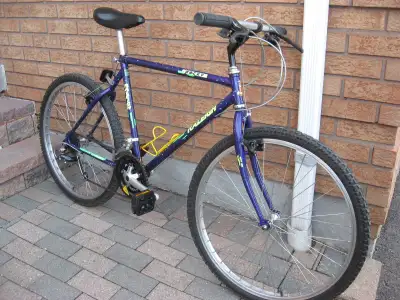 Vintage 21 speed 26" Raleigh Rocky mountain bike, View more